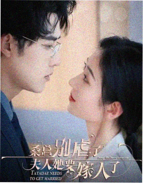 国乒女团决赛热搜配图