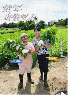 乒乓球亚洲杯赛程表热搜配图